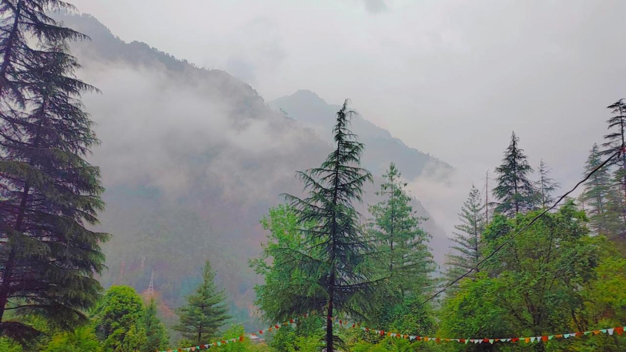 Shanti People Huts & Camp Касоль Экстерьер фото